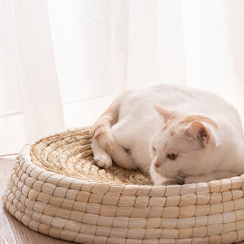 Teng Wok Fühlte Haus Katze Bett