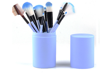 Makeup Brusch Set mit 12 Make-up-Pinseln