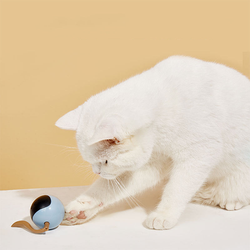 Elektrisches, intelligentes Katzenspielzeug in Form einer Zauberball